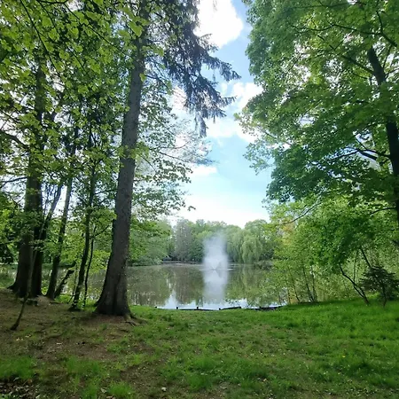 Pod Lipa Apartment *