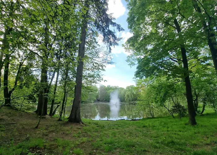 Pod Lipa 아파트 *